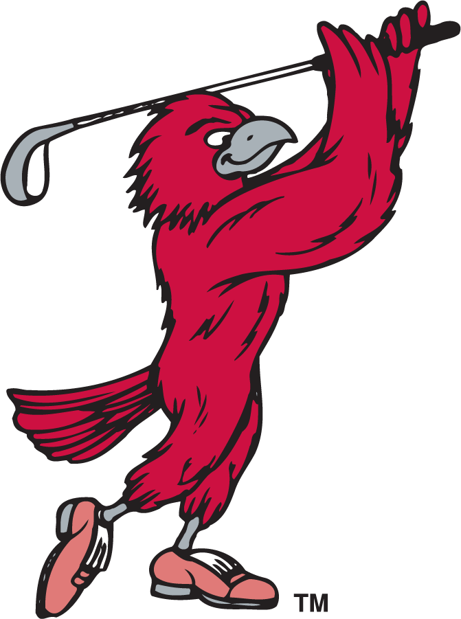 St. Joseph's Hawks 1995-2002 Secondary Logo v3 iron on transfers for clothing